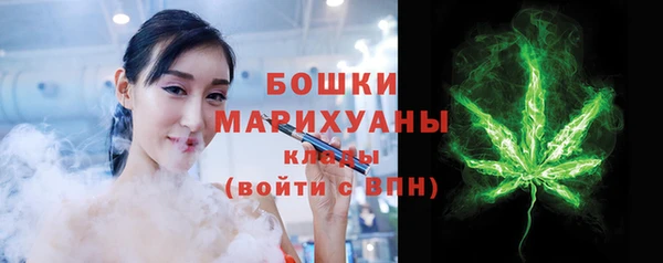 прущие грибы Осташков