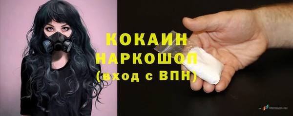 сатива Кинешма