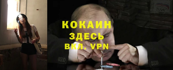 мет Карпинск